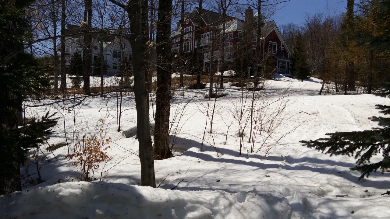 Photo of Outdoor in Stratton Mountain