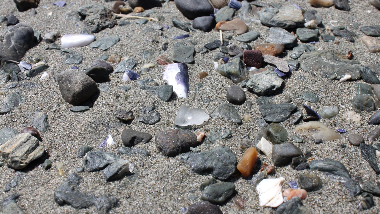 Photo of Others in Lamoine