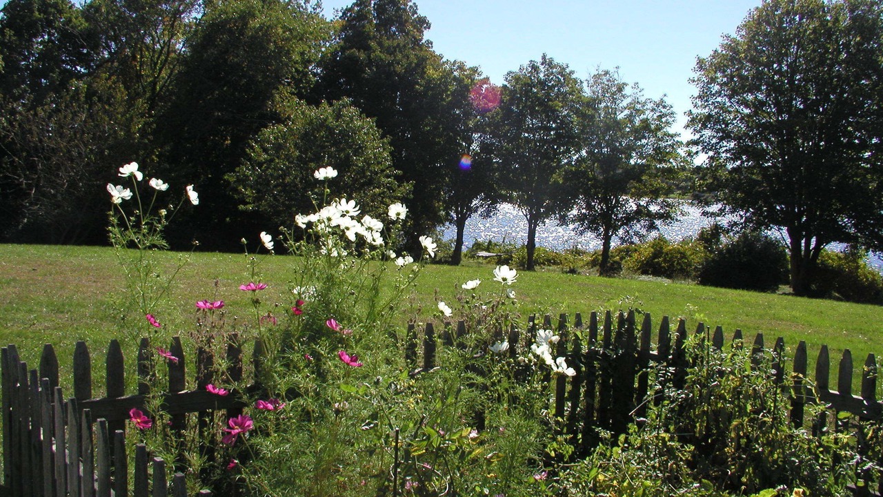 Photo of Outdoor in Tiverton