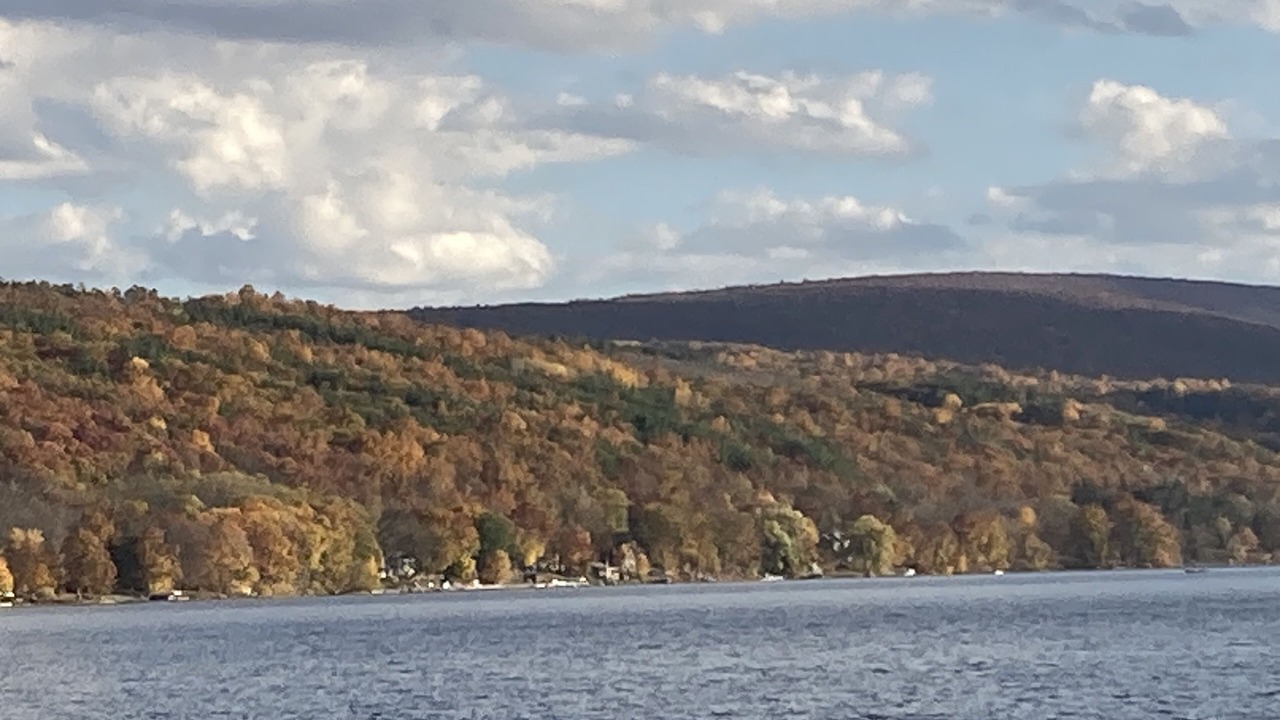 Photo of Others in Honeoye