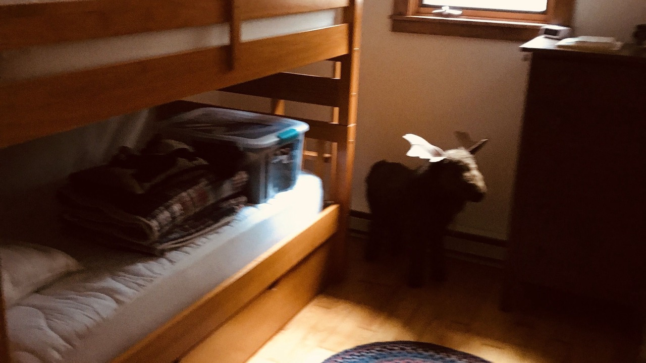 Photo of Bedroom in Center Harbor