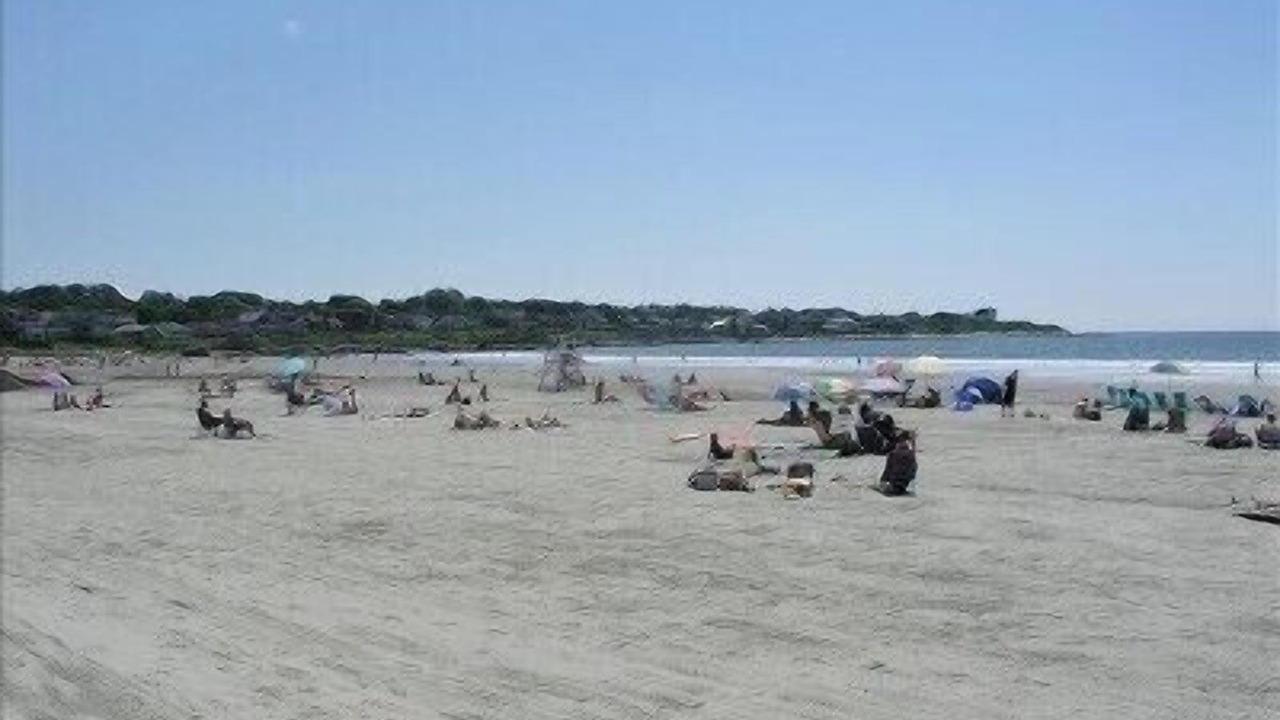 Photo of Others in Newport