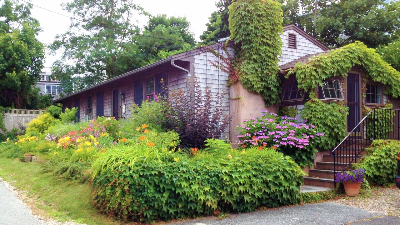 Photo of Outdoor in Provincetown