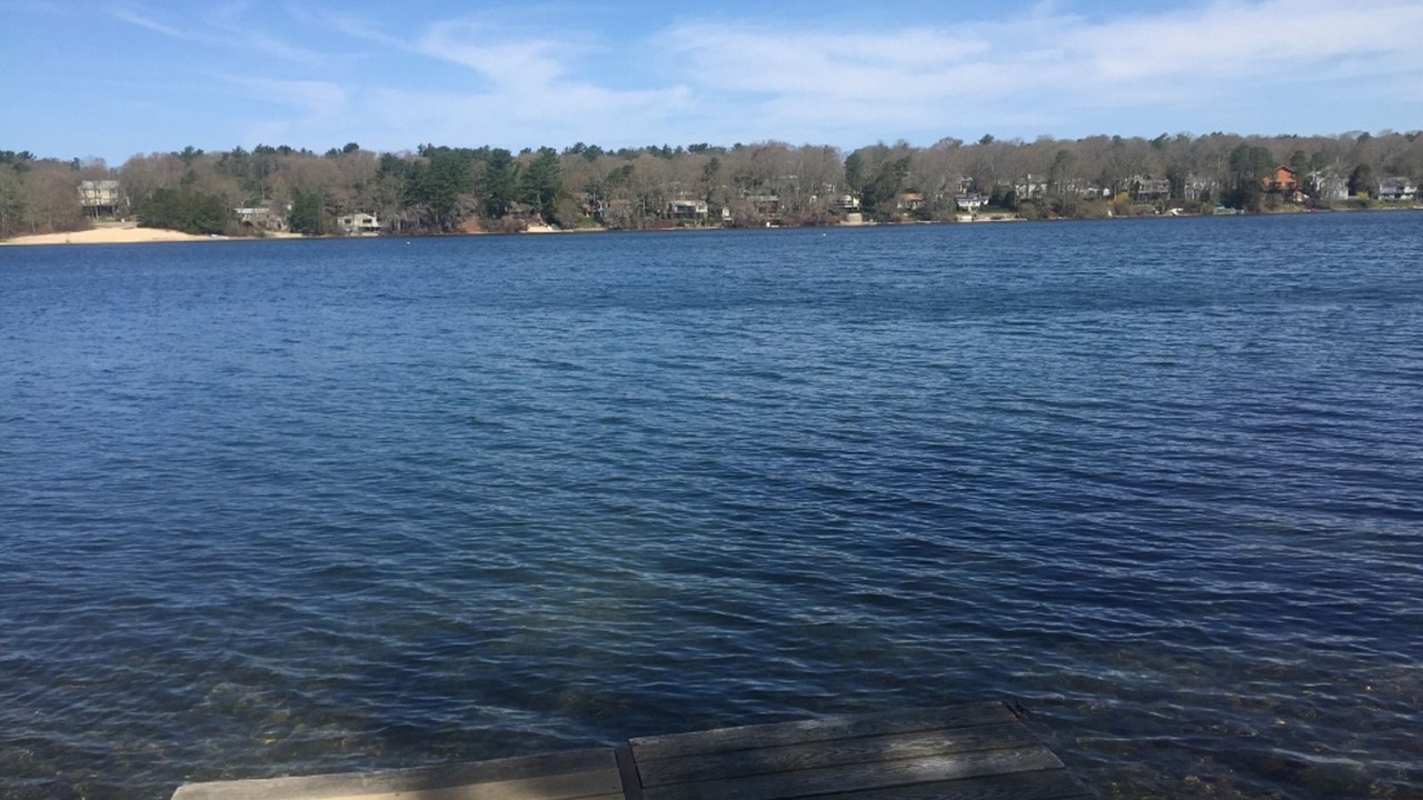 Photo of Outdoor in East Falmouth