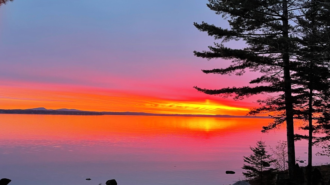 Photo of Others in Bar Harbor