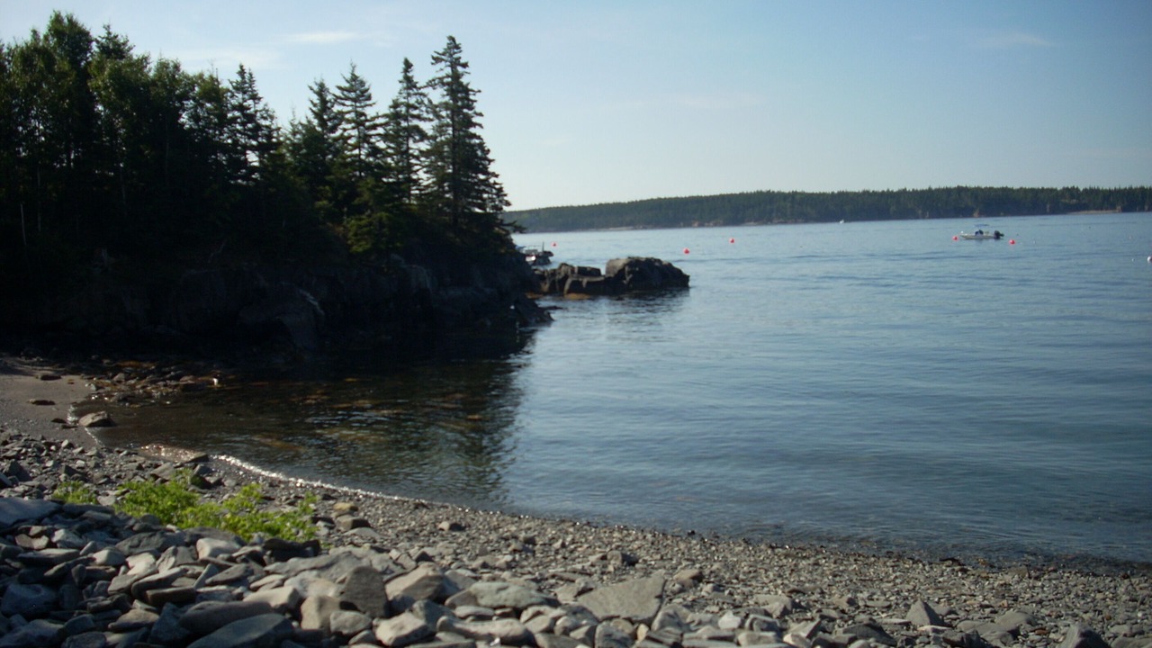 Photo of Others in DownEast and Acadia Maine