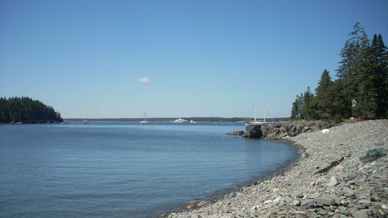 Photo of Others in DownEast and Acadia Maine