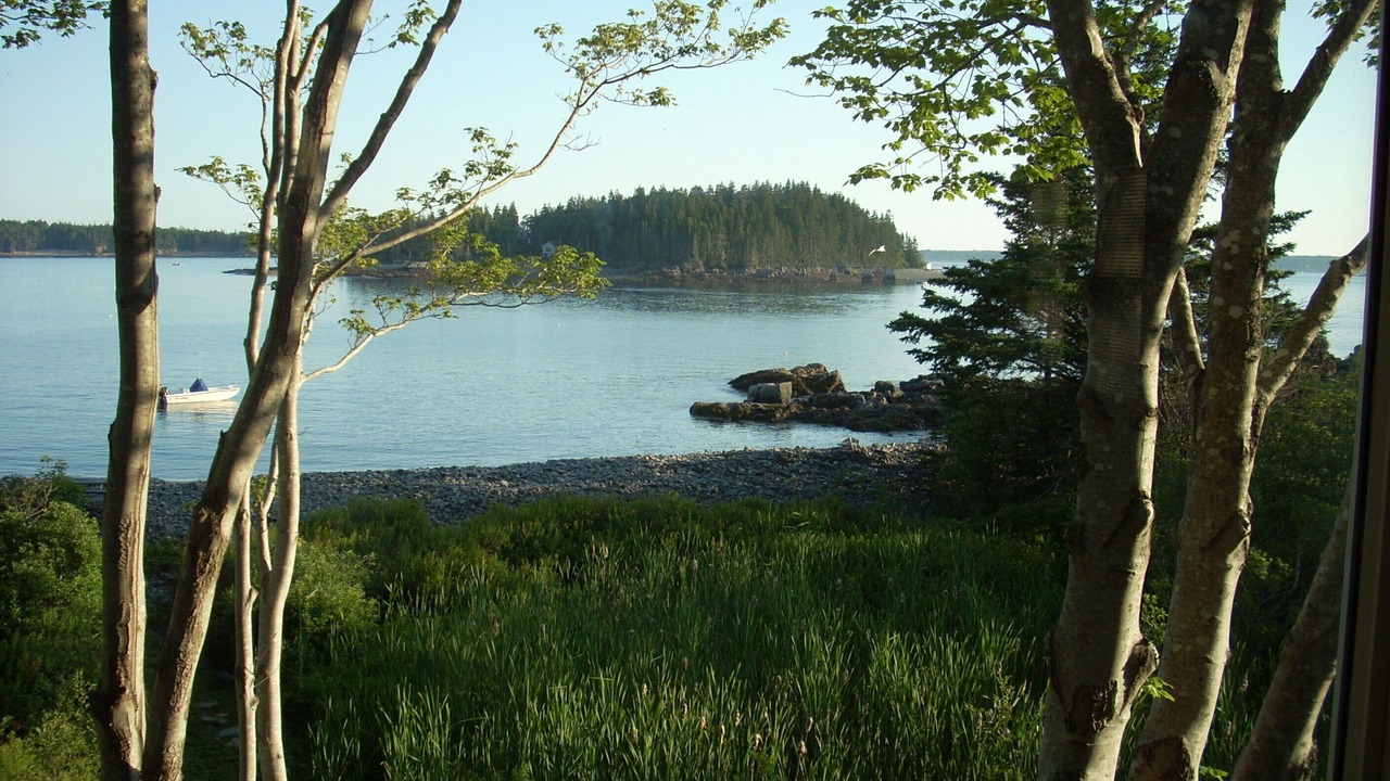 Photo of Others in DownEast and Acadia Maine