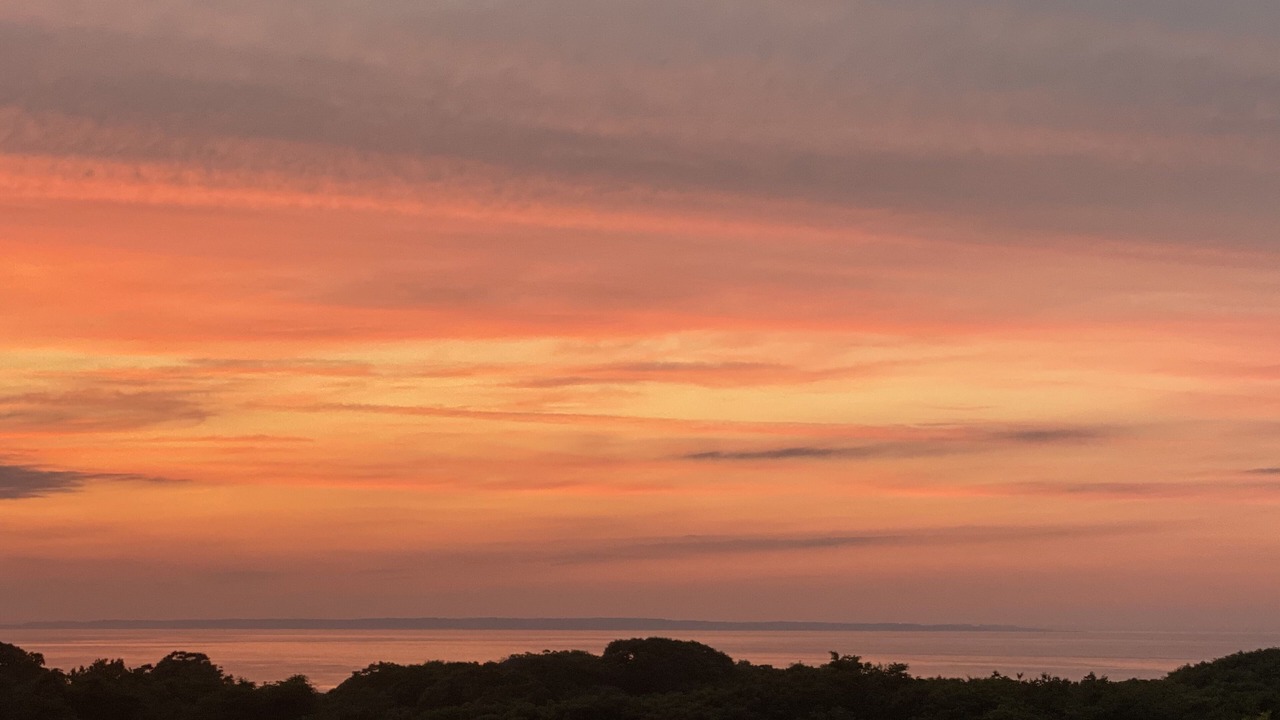 Photo of Others in Aquinnah