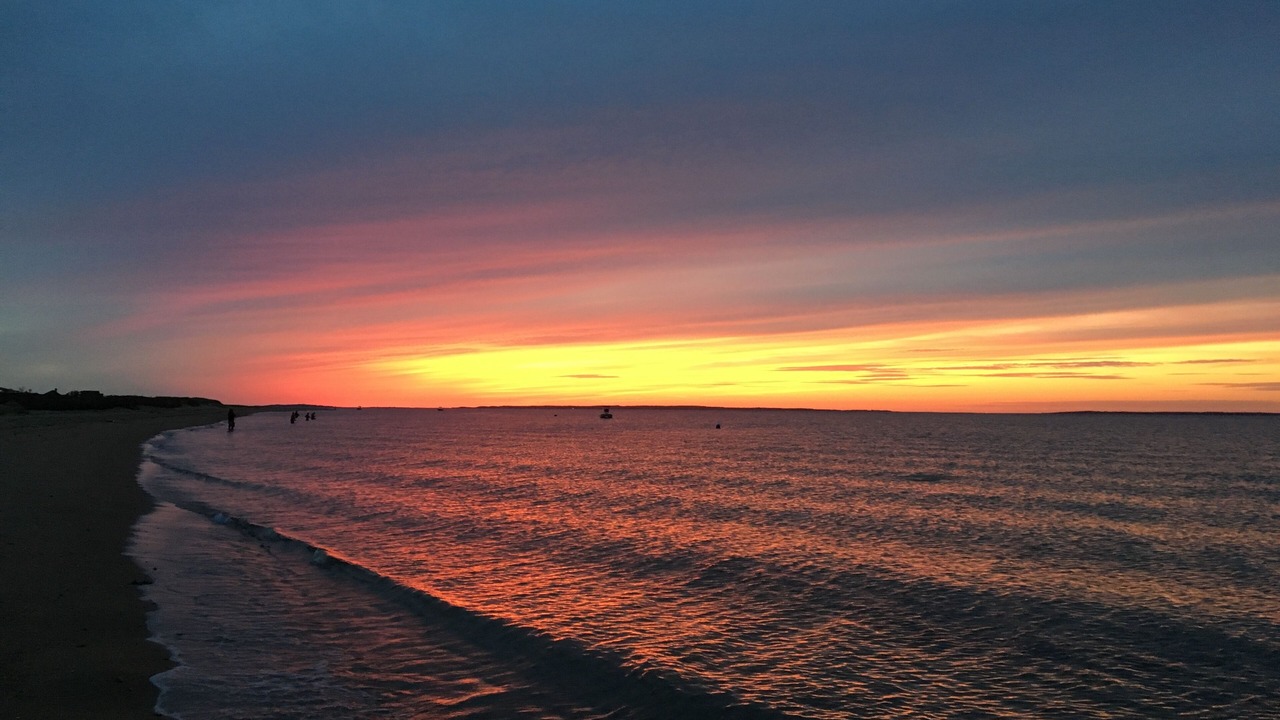 Photo of Others in Aquinnah