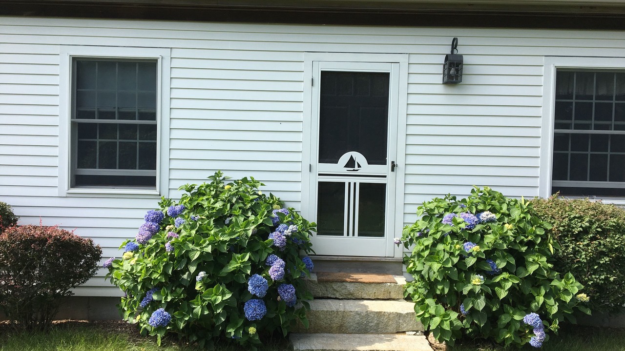 Photo of Outdoor in Aquinnah