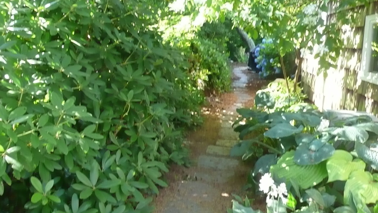 Photo of Outdoor in Falmouth