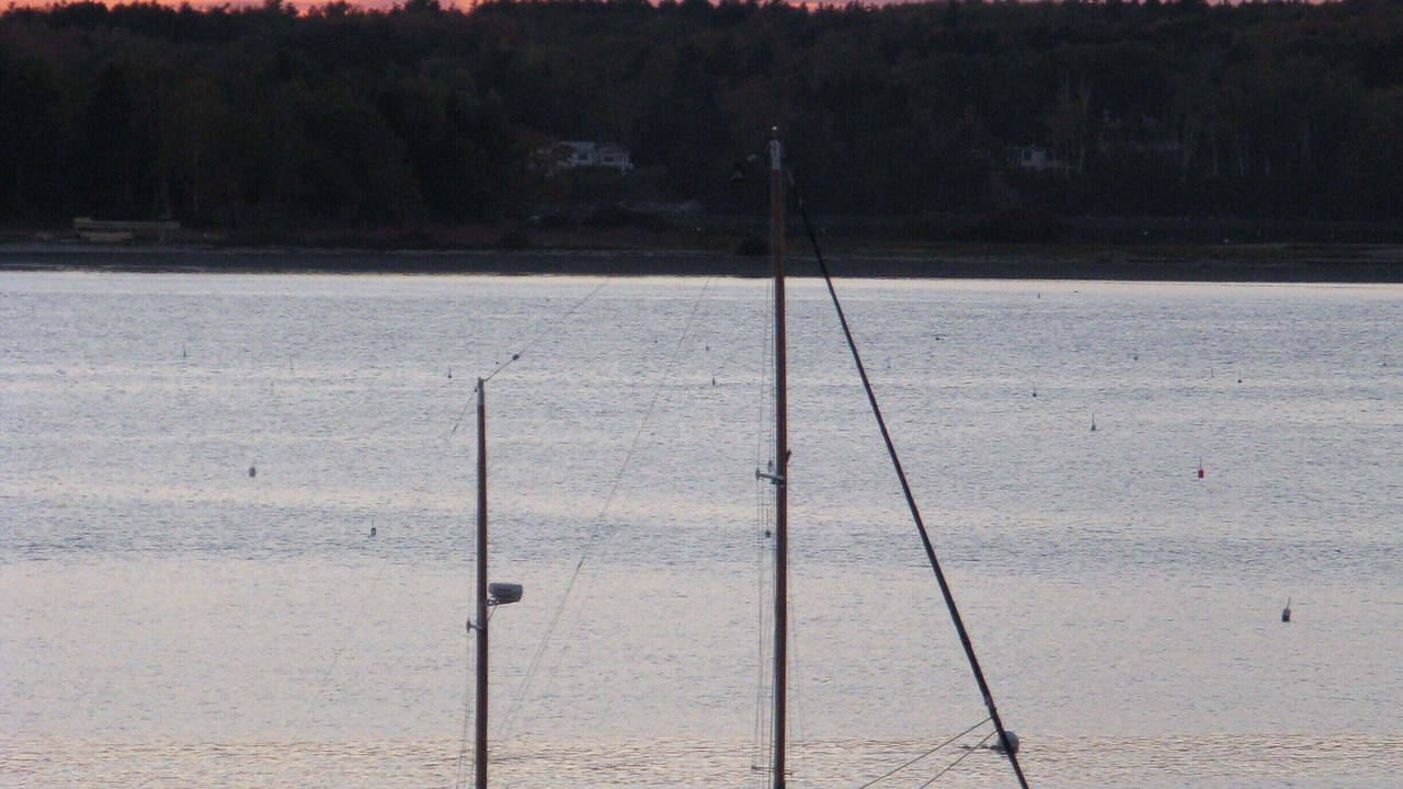 Photo of Others in Mid-Coast and Islands