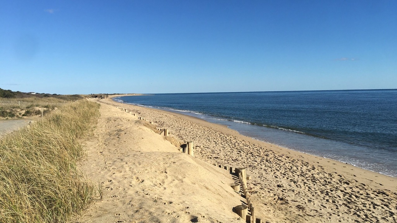 Photo of Others in Hyannis