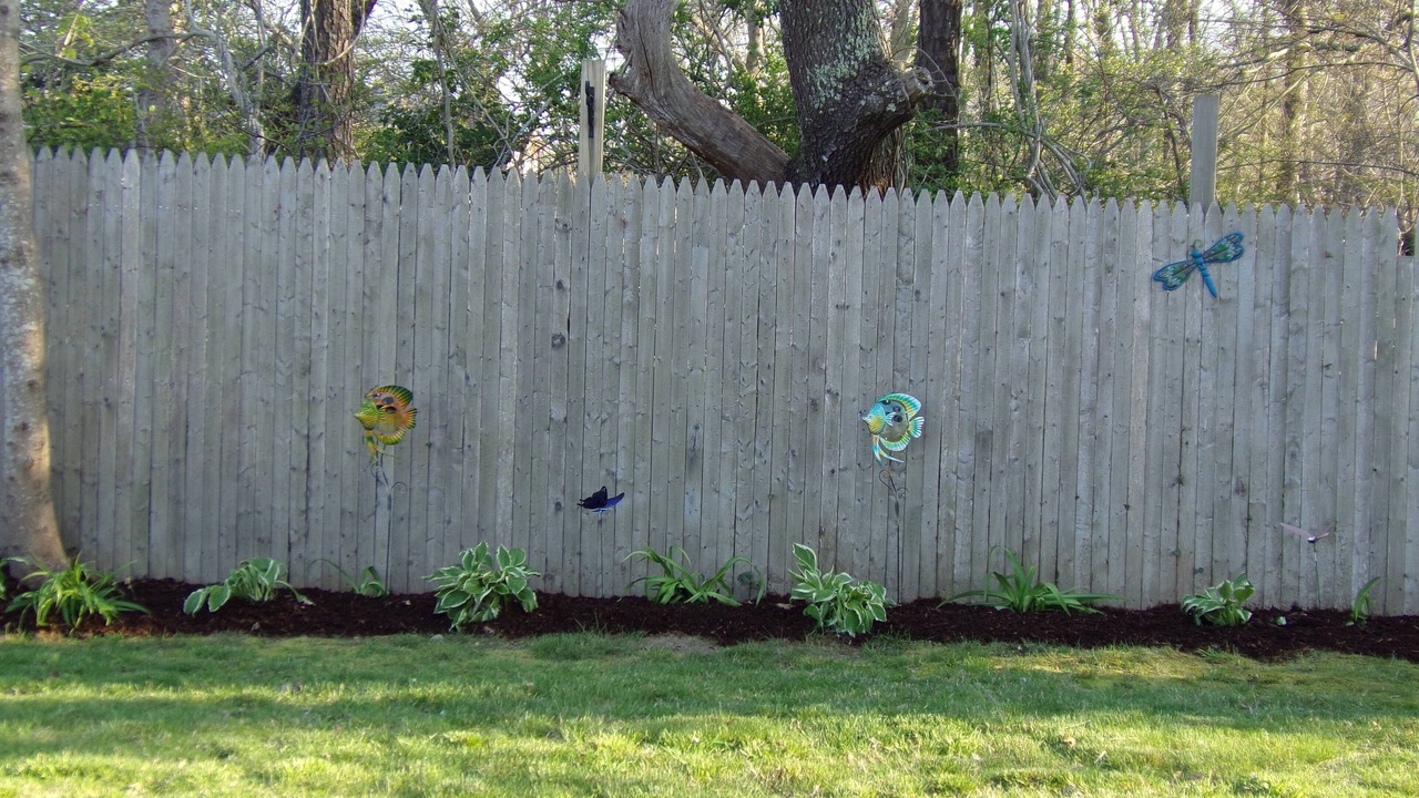 Photo of Others in Hyannis