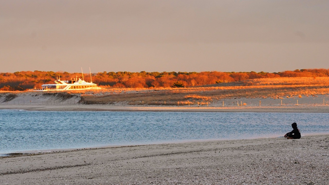 Photo of Others in Hyannis