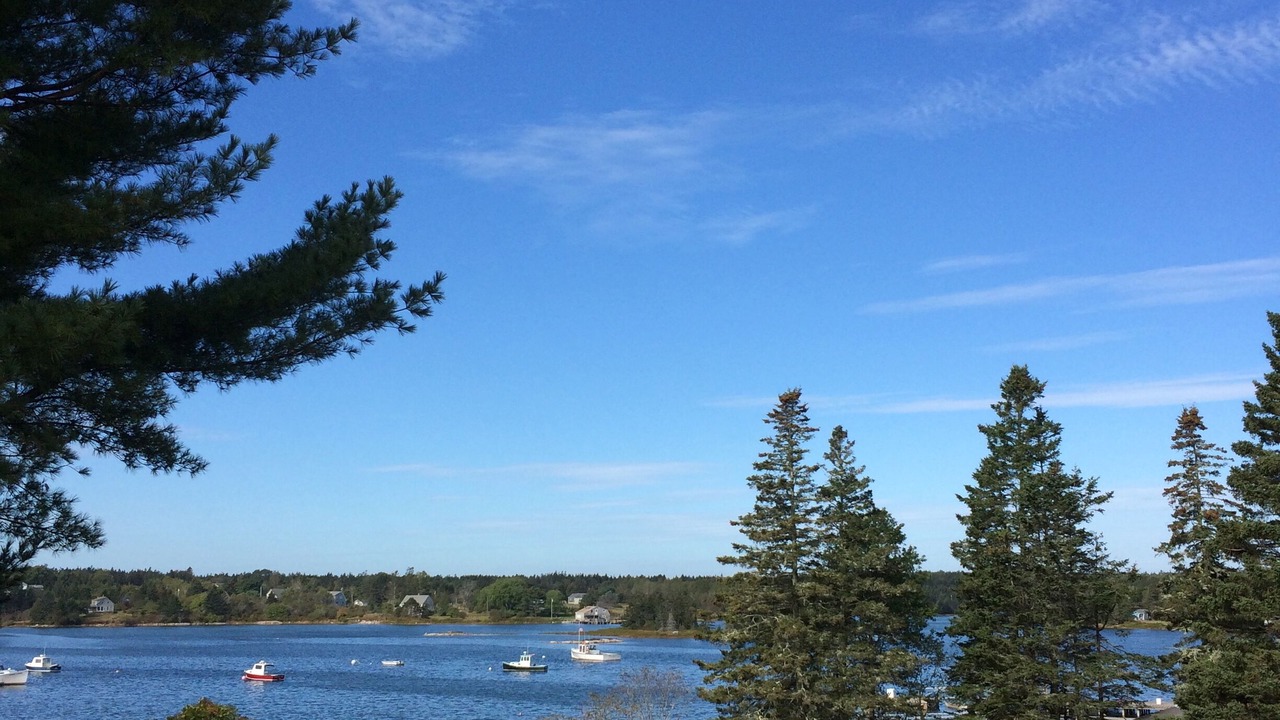 Photo of Others in Bass Harbor
