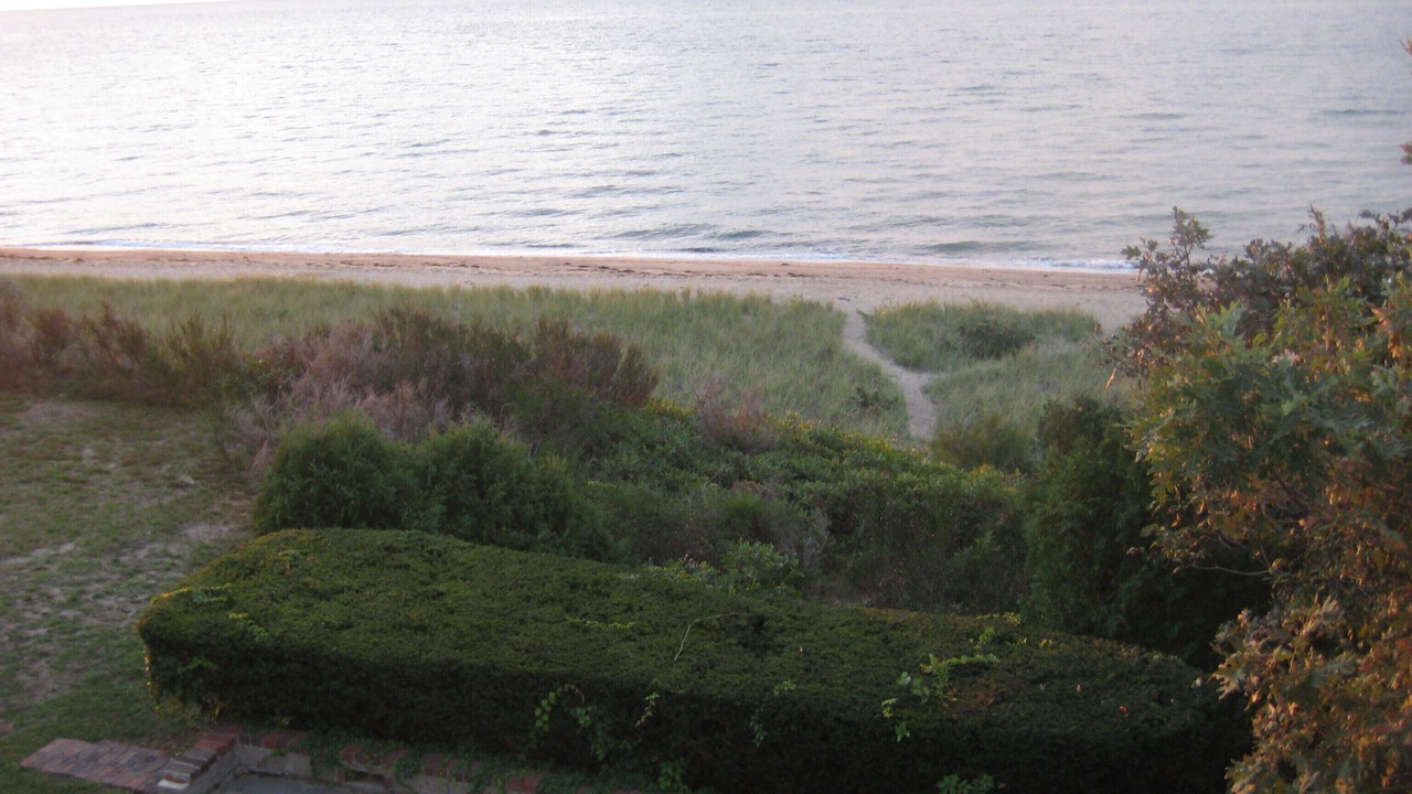 Photo of Others in Mashpee