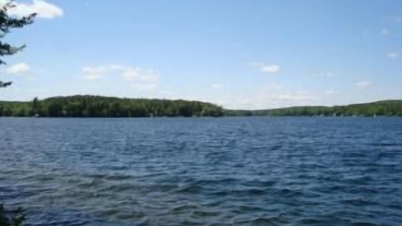 Photo of Others in Wolfeboro
