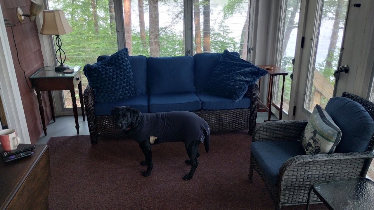 Photo of Livingroom in Wolfeboro