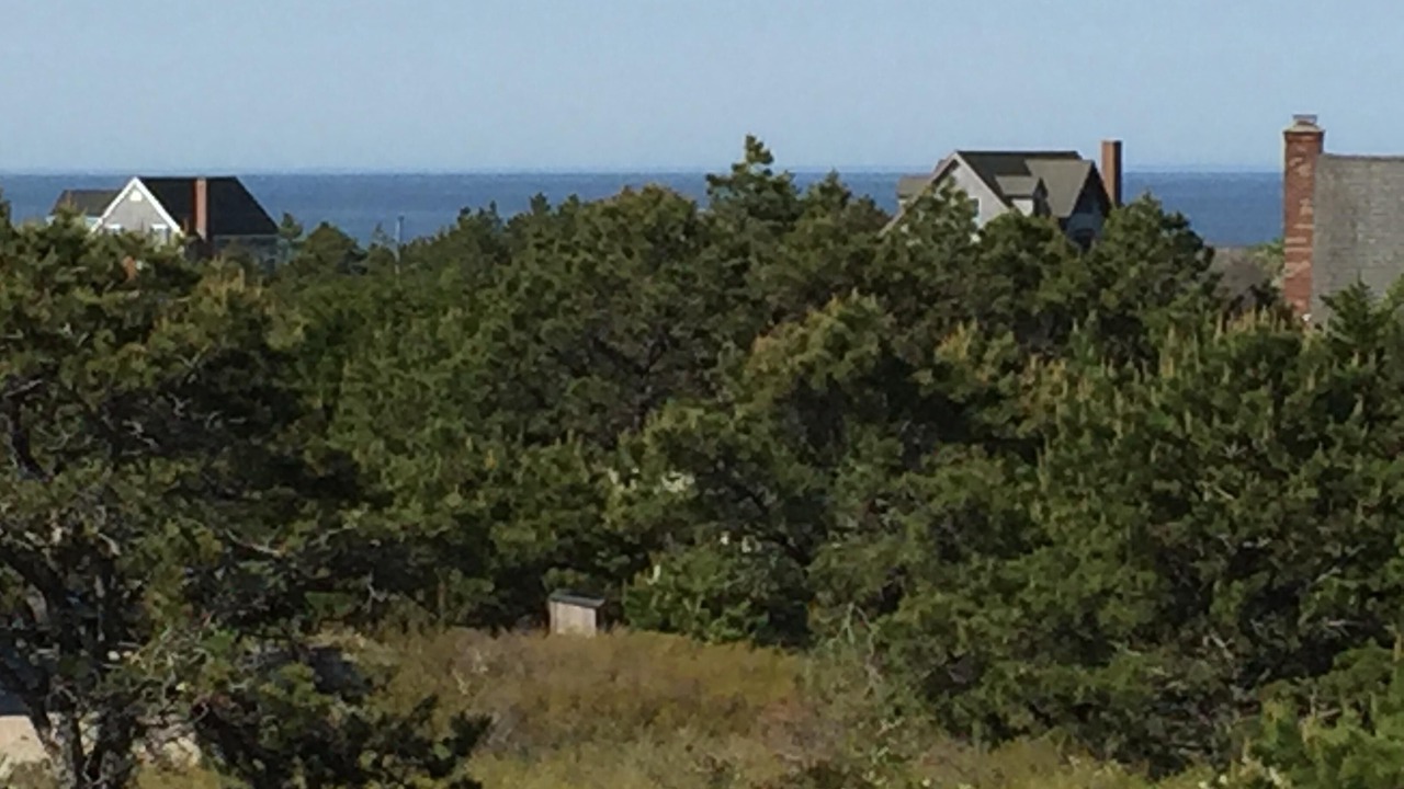 Photo of Others in North Truro