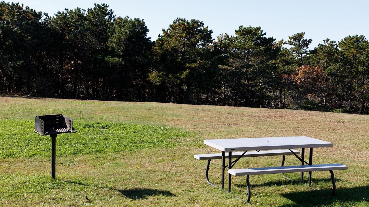 Photo of Outdoor in North Truro