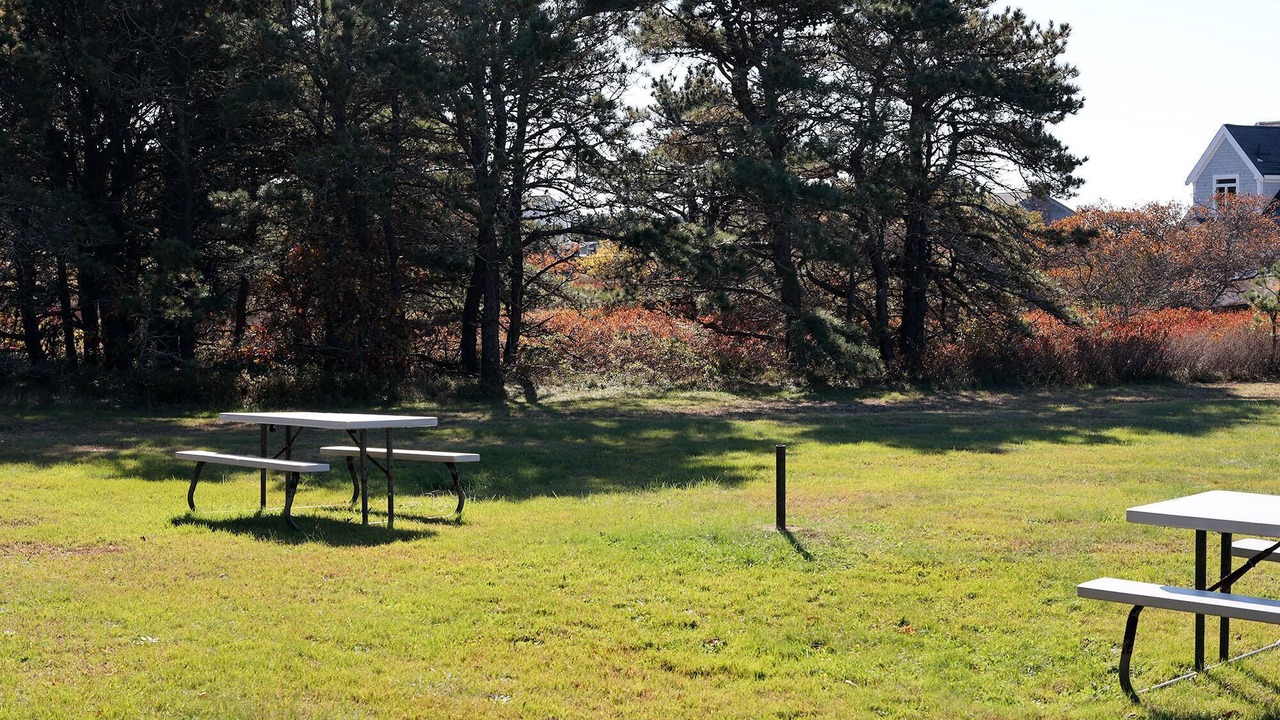 Photo of Outdoor in North Truro