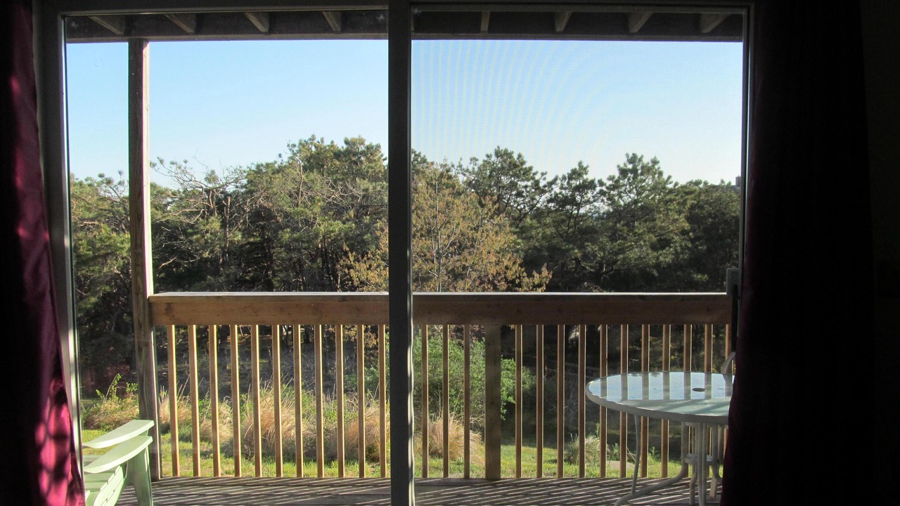 Photo of Others in North Truro