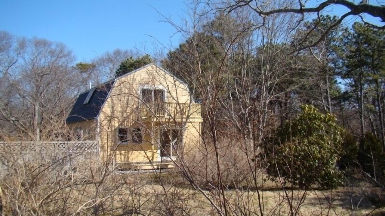 Photo of Others in Tisbury