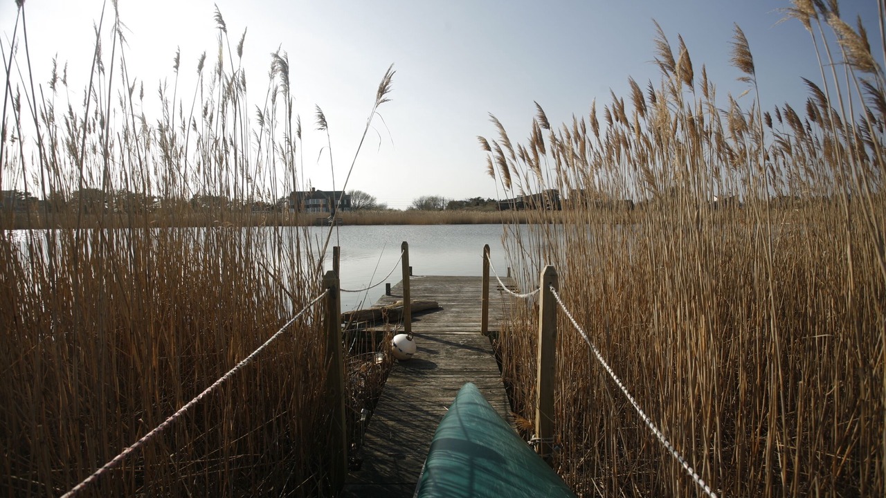 Photo of Outdoor in Bridgehampton