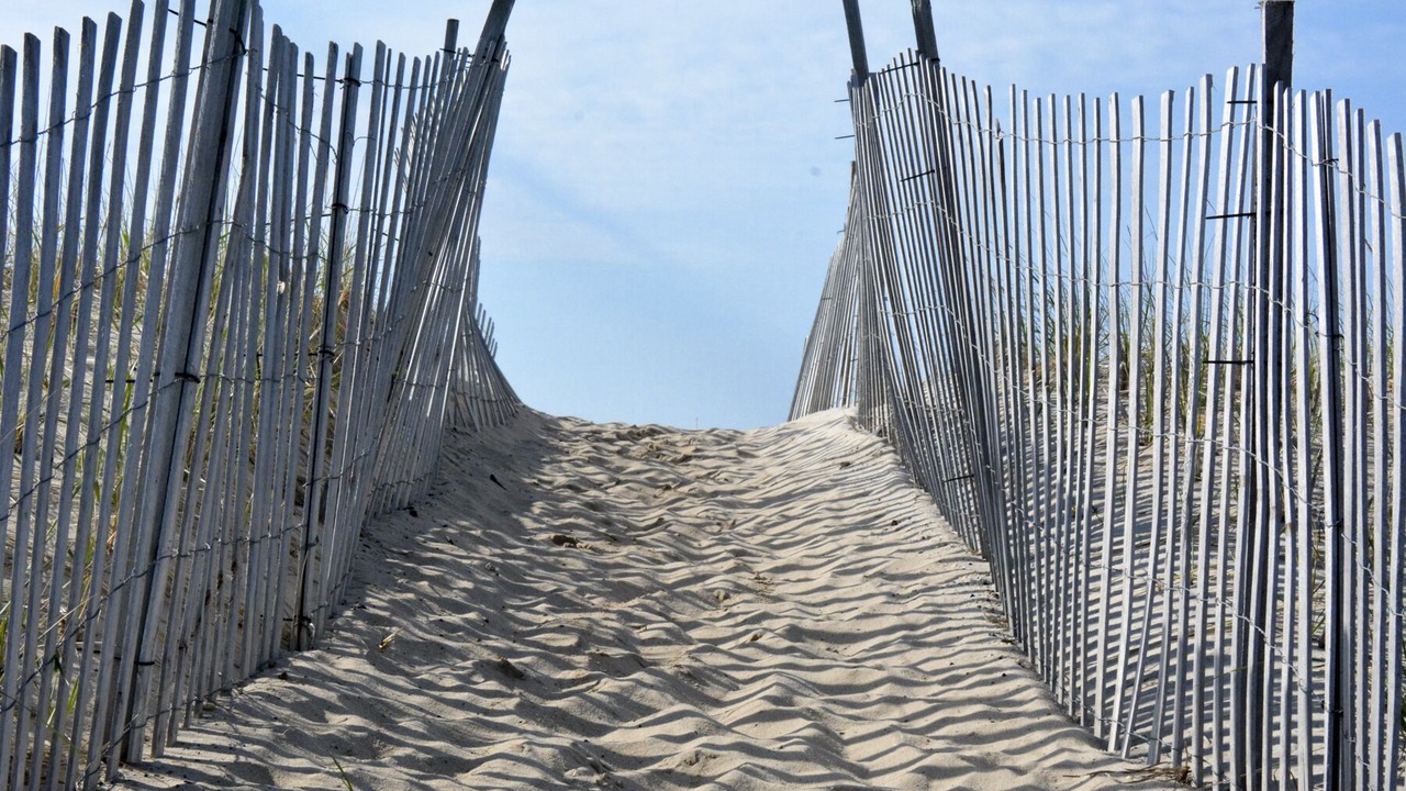 Photo of Others in Bridgehampton