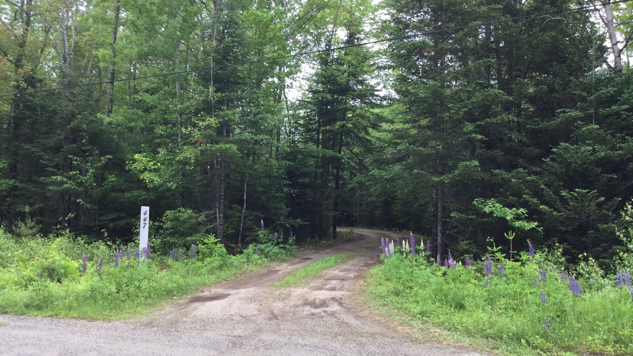 Photo of Outdoor in Lamoine