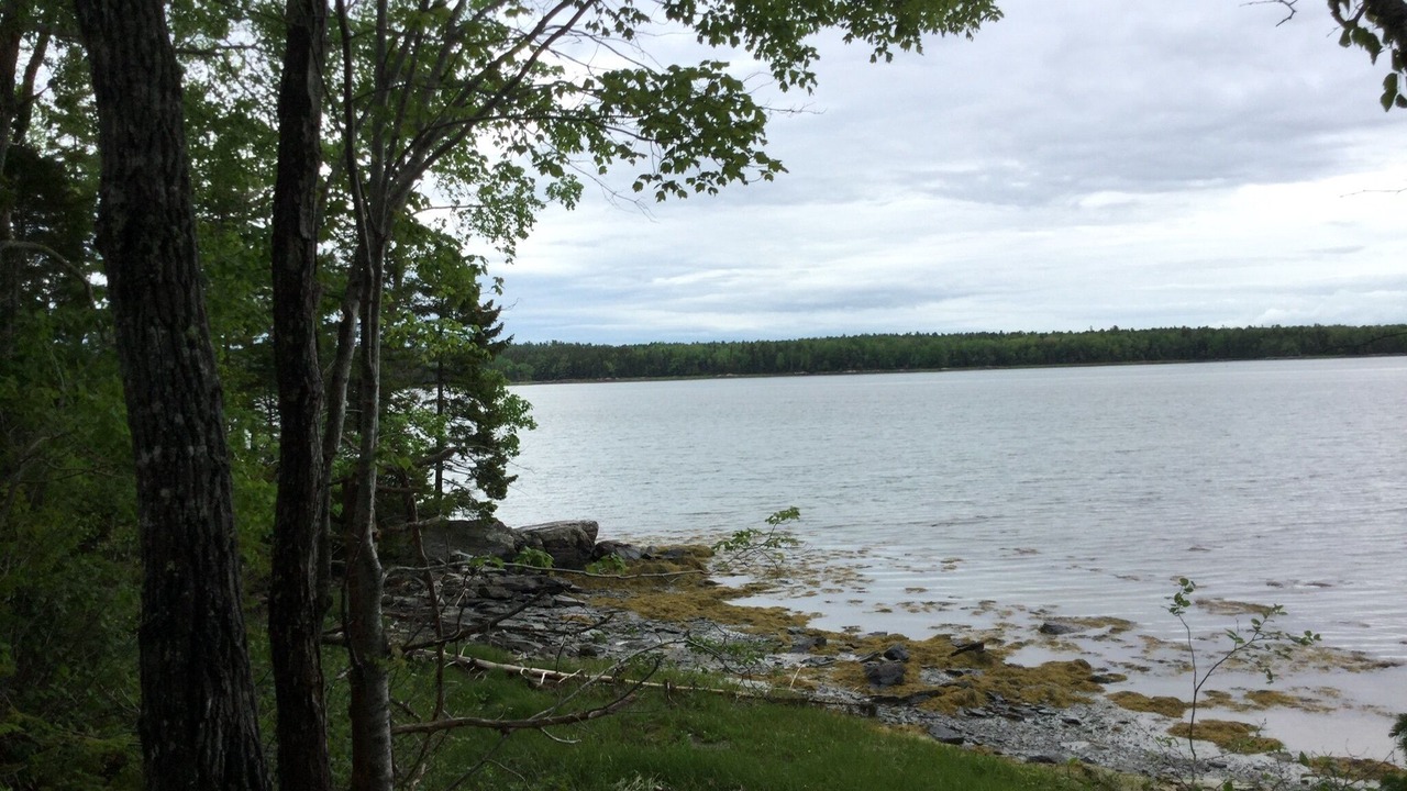 Photo of Others in Lamoine