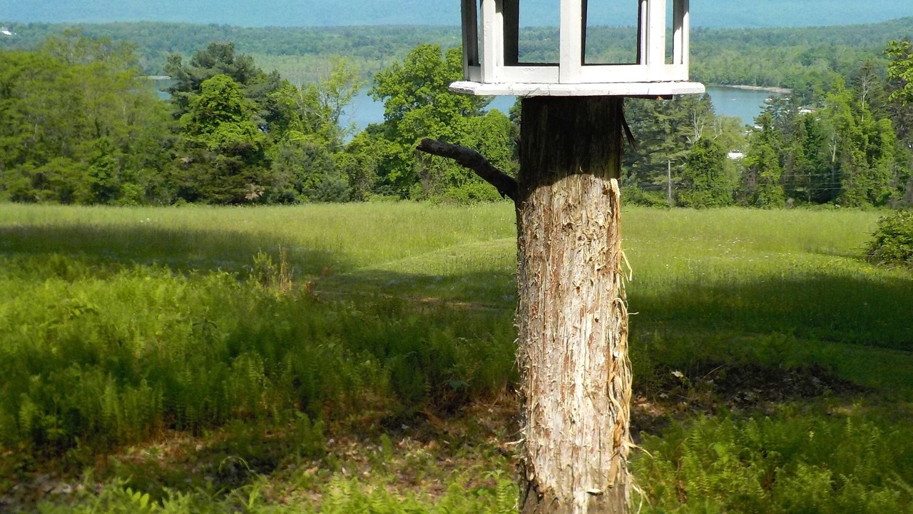 Photo of Outdoor in Weatogue