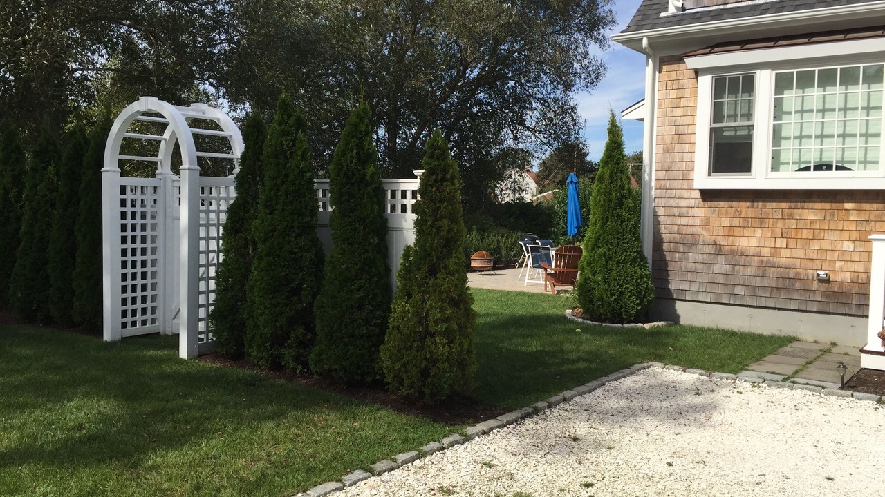 Photo of Others in Chatham