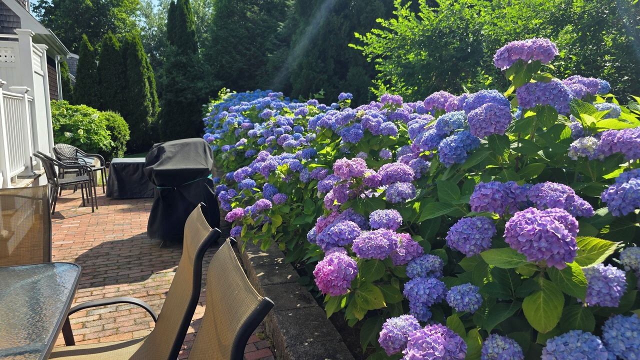 Photo of Outdoor in Chatham