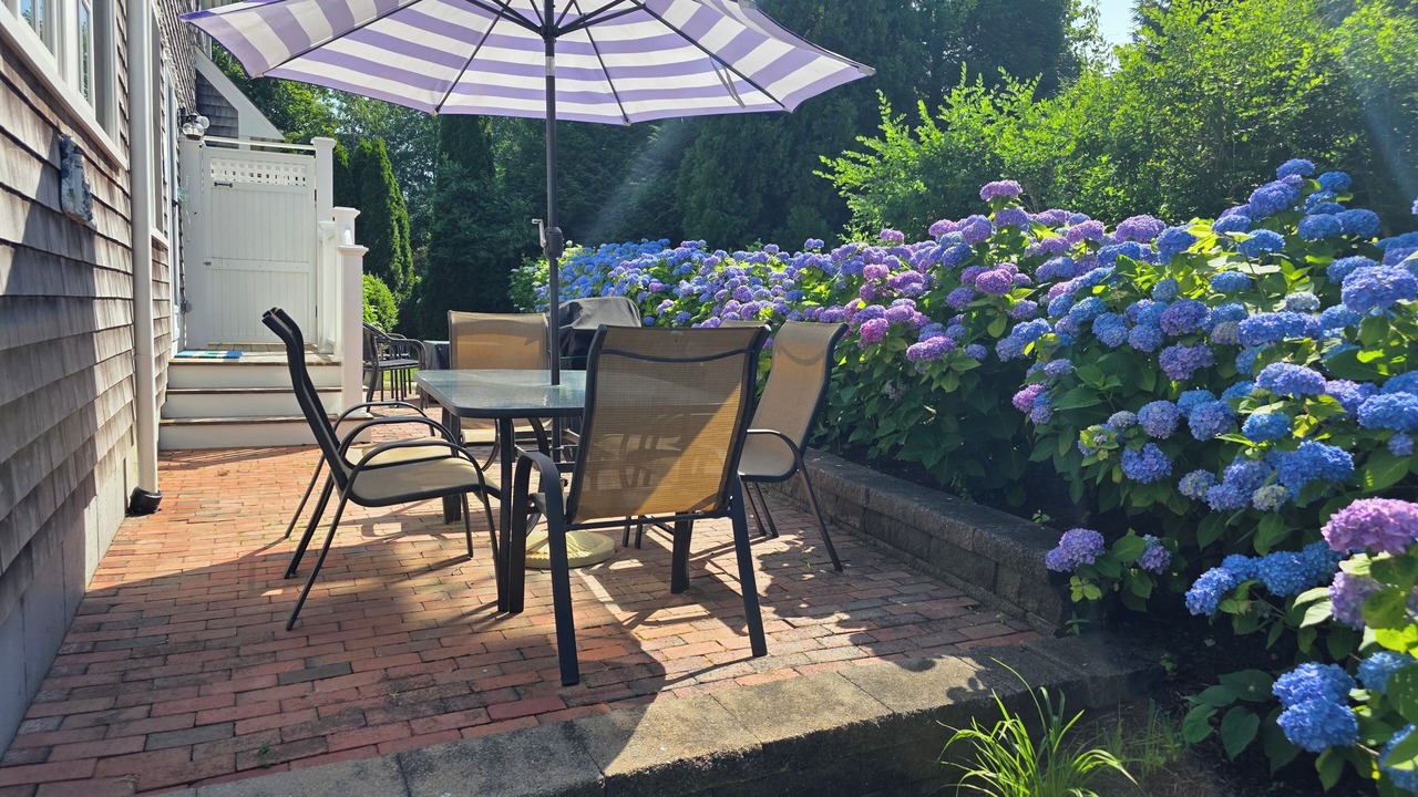 Photo of Outdoor in Chatham