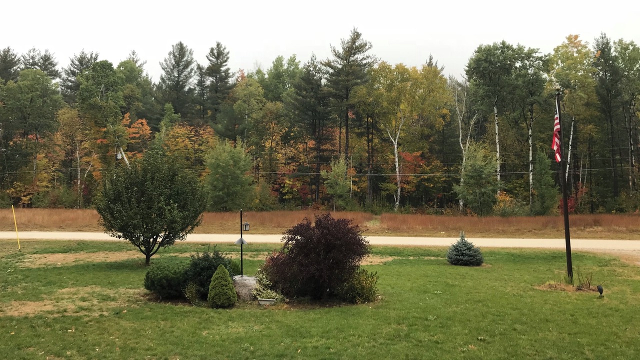 Photo of Others in Bartlett
