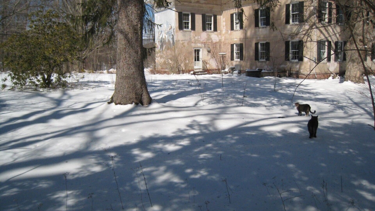 Photo of Outdoor in Higganum