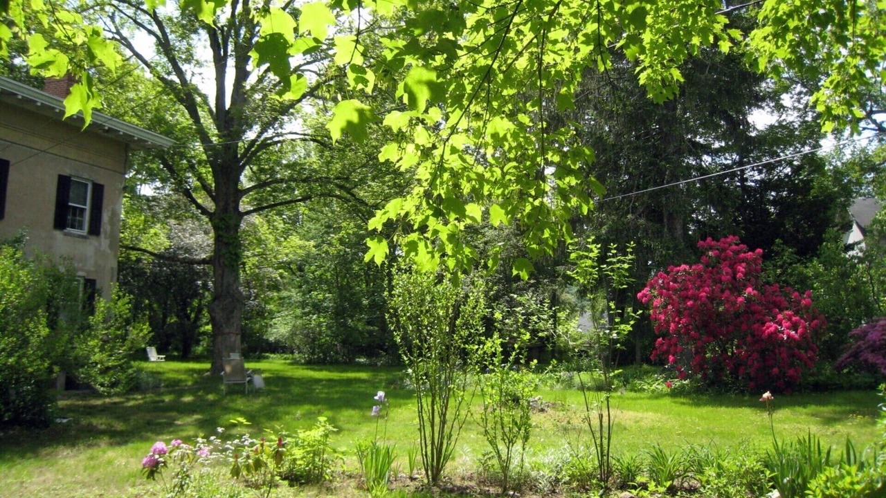 Photo of Outdoor in Higganum