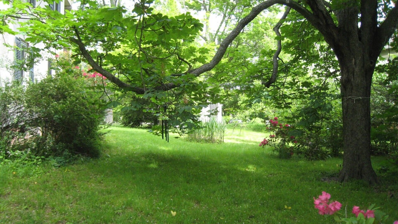 Photo of Outdoor in Higganum