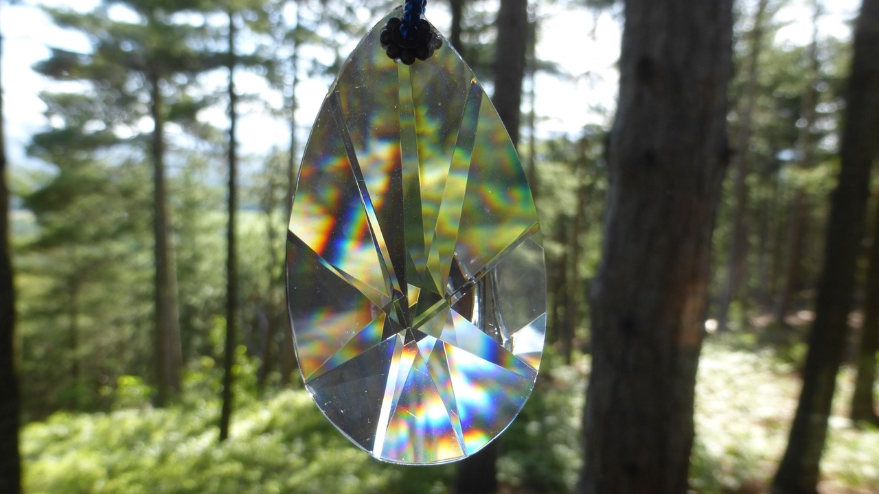 Photo of Others in Au Sable Forks