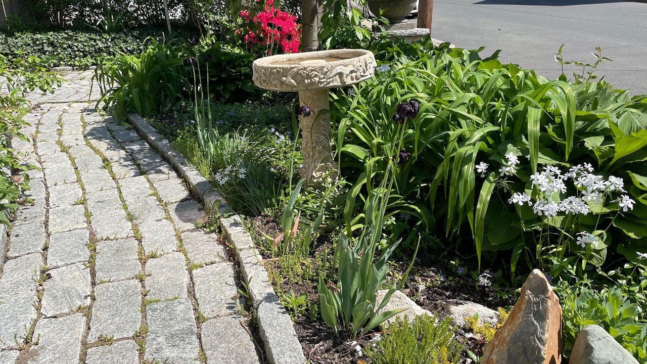 Photo of Outdoor in Egleston Square