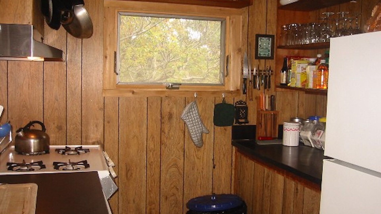 Photo of Kitchen in Davis Park