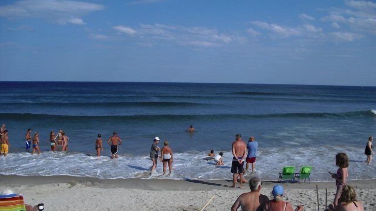 Photo of Others in Hampton