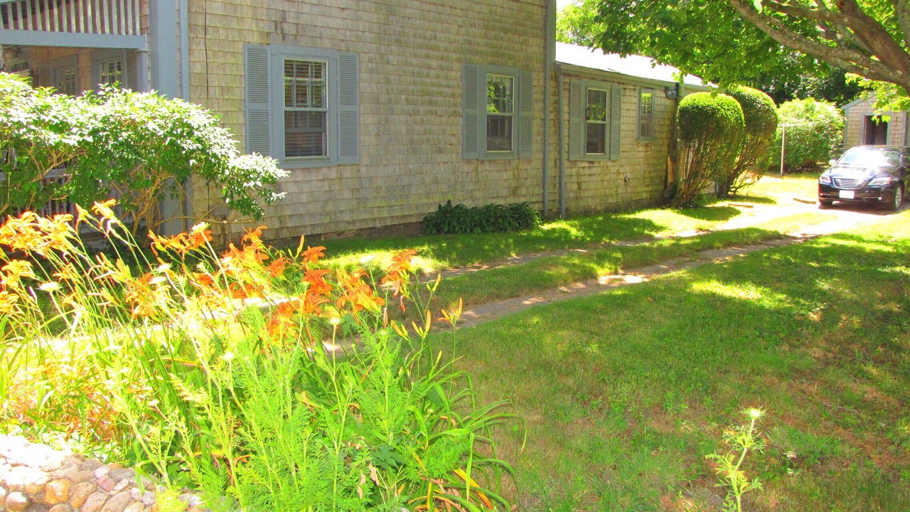Photo of Others in Tisbury