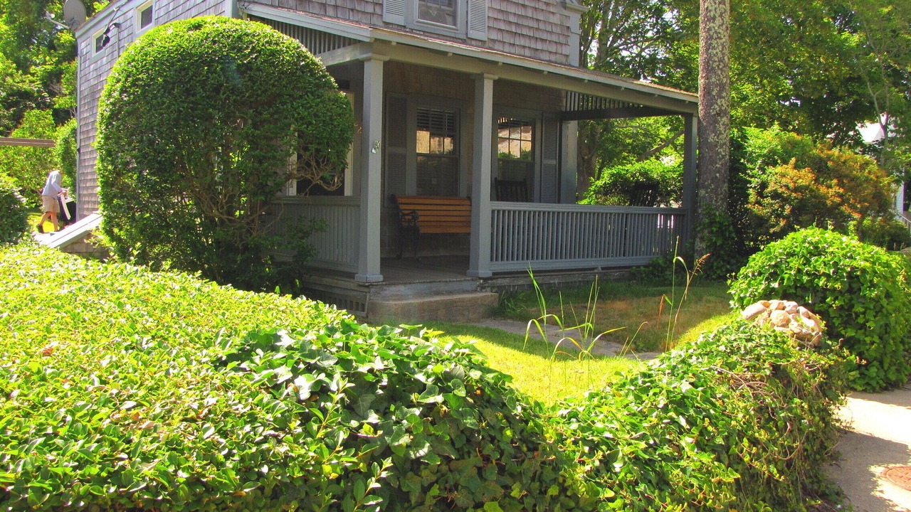 Photo of Outdoor in Tisbury