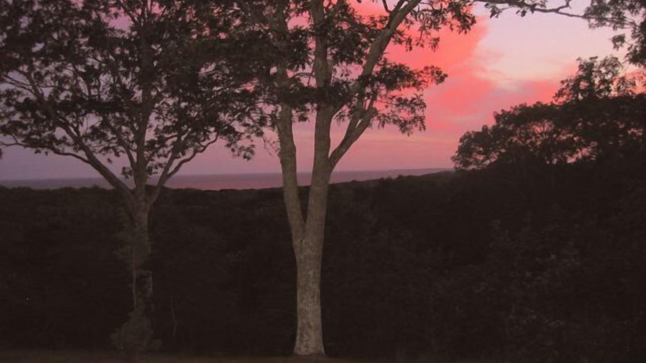 Photo of Outdoor in Chilmark