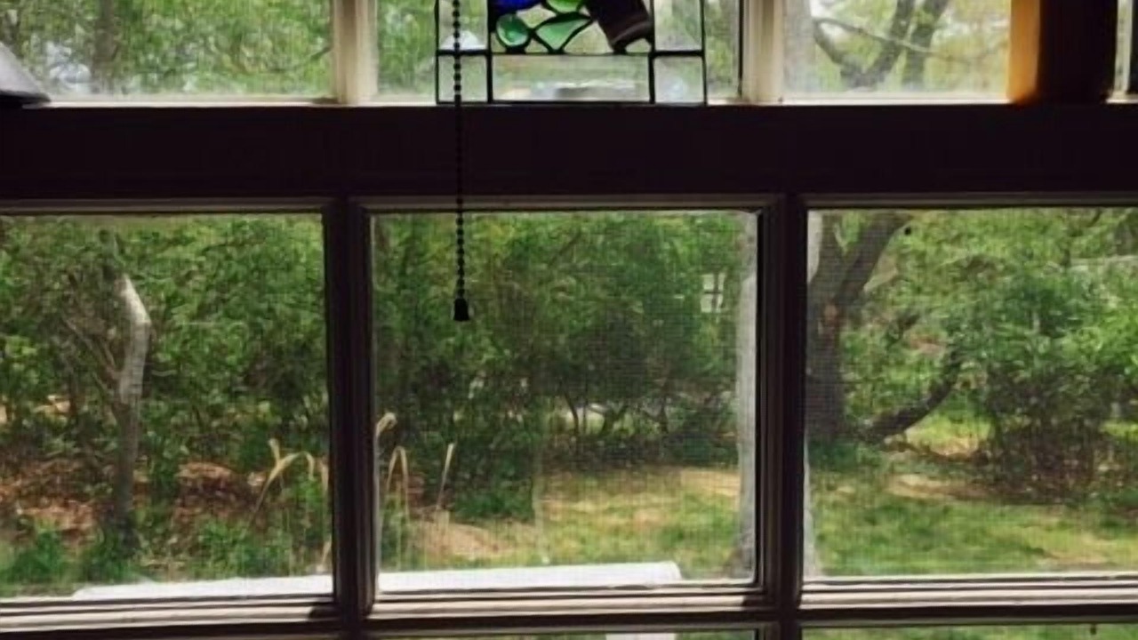 Photo of Others in Chilmark