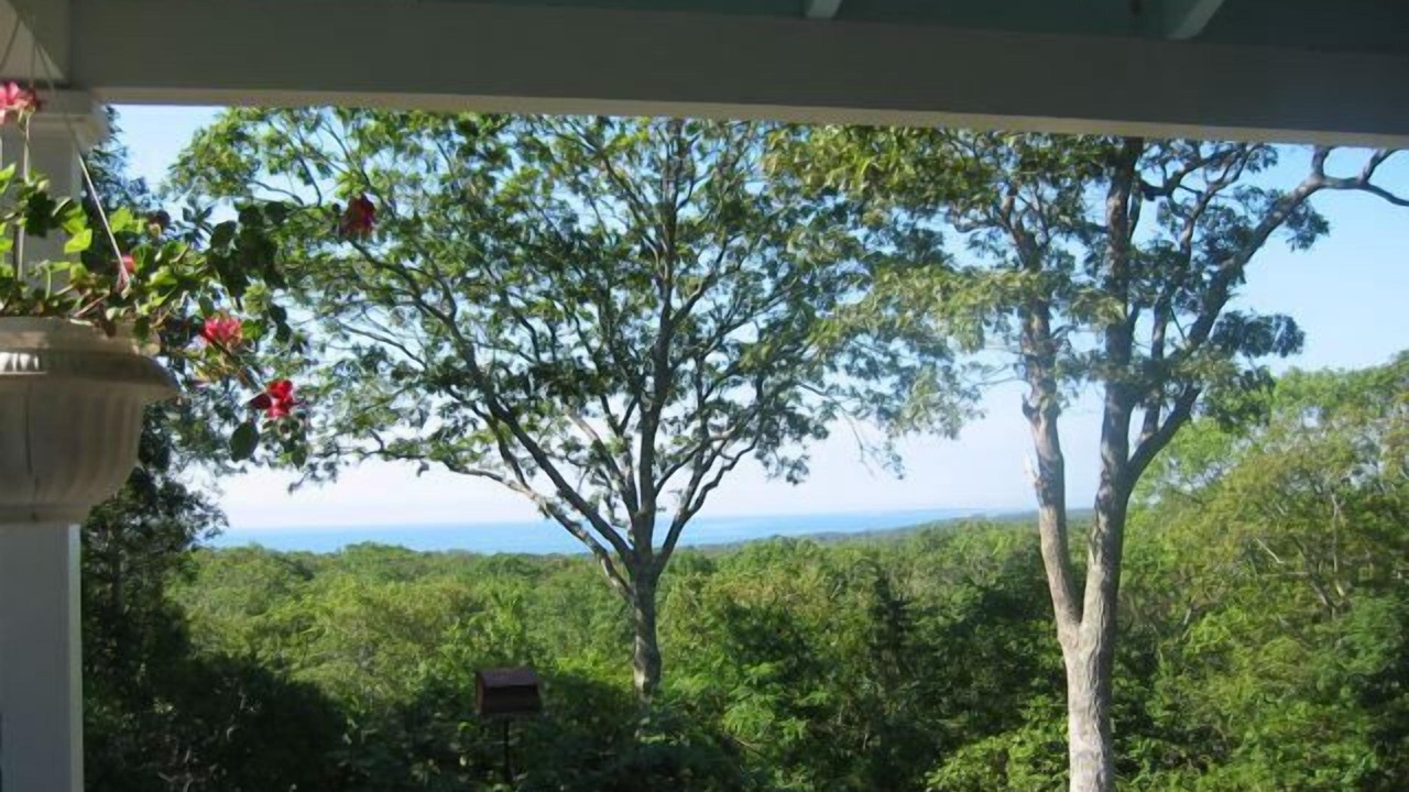 Photo of Outdoor in Chilmark